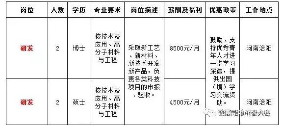 罗山县人民政府办公室最新招聘公告概览