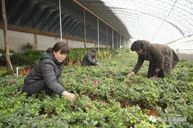 南戴河街道办事处交通新闻更新