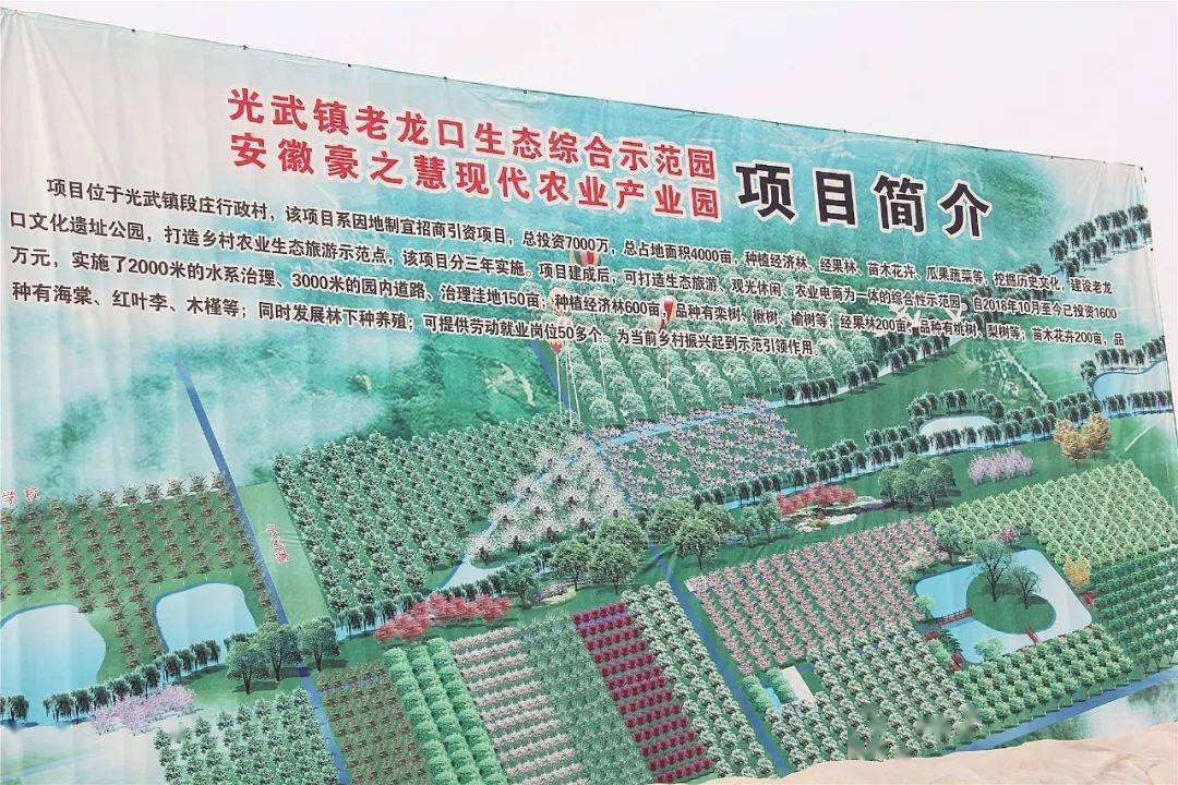 界首乡新发展规划，塑造乡村新貌，推动可持续发展进程