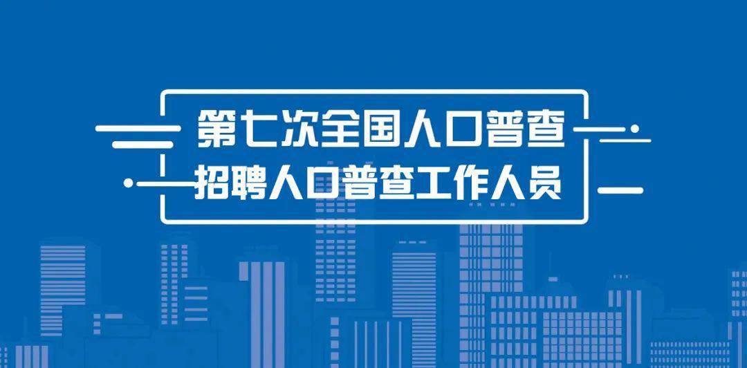 朝天区统计局最新招聘信息全面解析