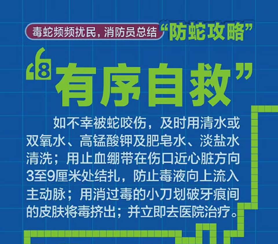 石咀儿村民委员会招聘公告，最新职位及信息发布