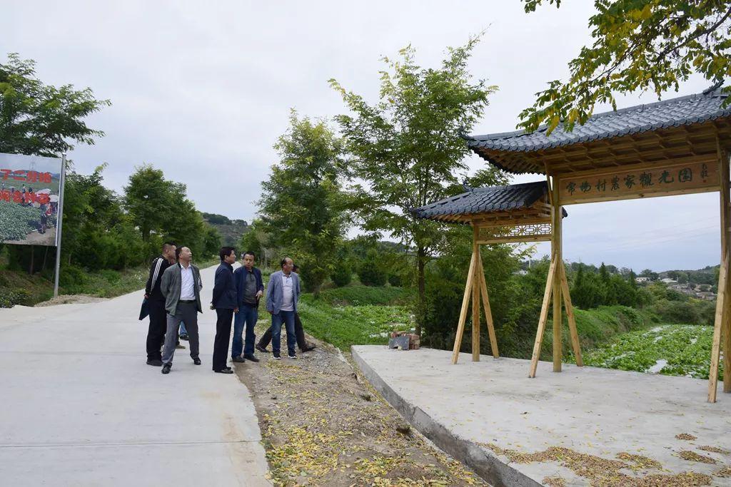 永清县住房和城乡建设局最新发展规划概览