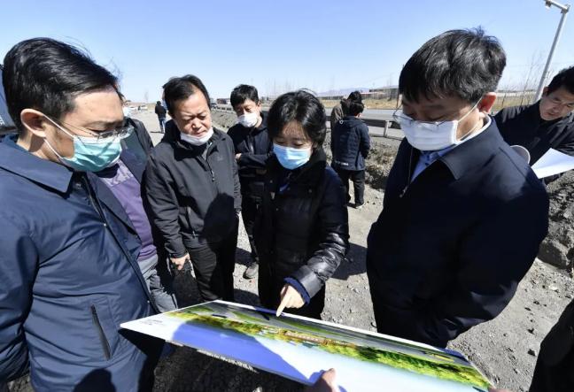 秦皇岛市林业局绿色转型与生态文明建设蓝图发展规划揭秘