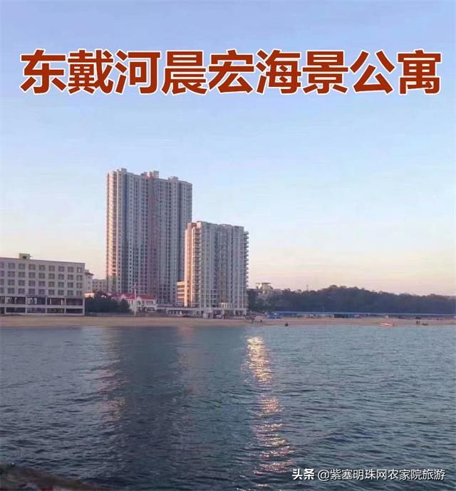 绥中县市场监督管理局最新发展规划概览